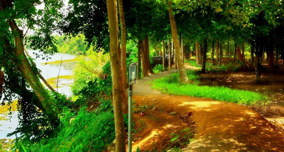 Green Gram Wellness Village, Kochi 4